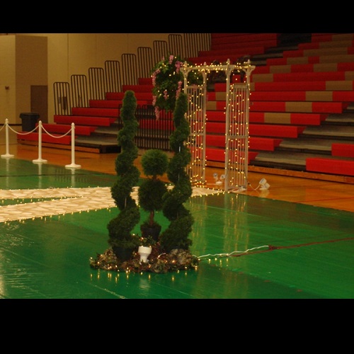 Artificial Tree idea - Prom - Idea Gallery - decorating ideas for prom